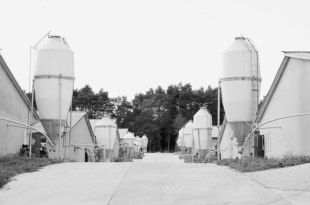 1568194265724914.jpg 1.jpg