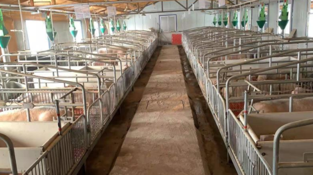 1608088396215329.png QQ截圖20201216111250.png