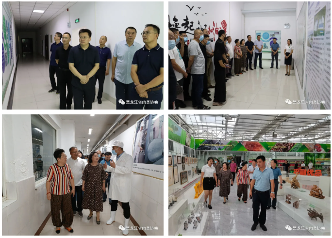 1627953794457094.png 2.png