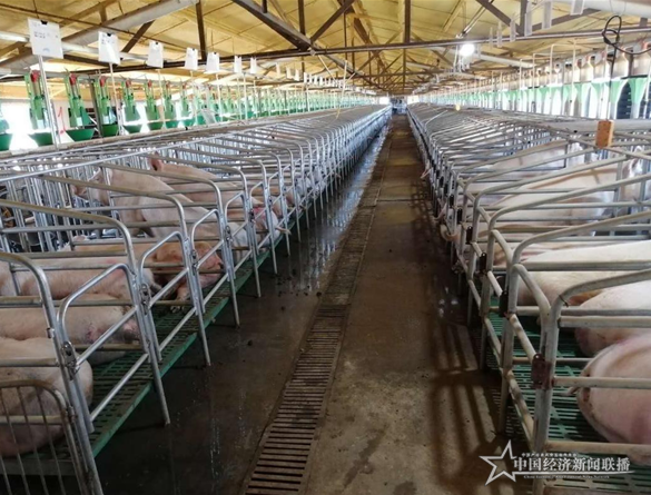 1648013316548280.png 3.png